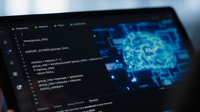 Clasificación y segmentación